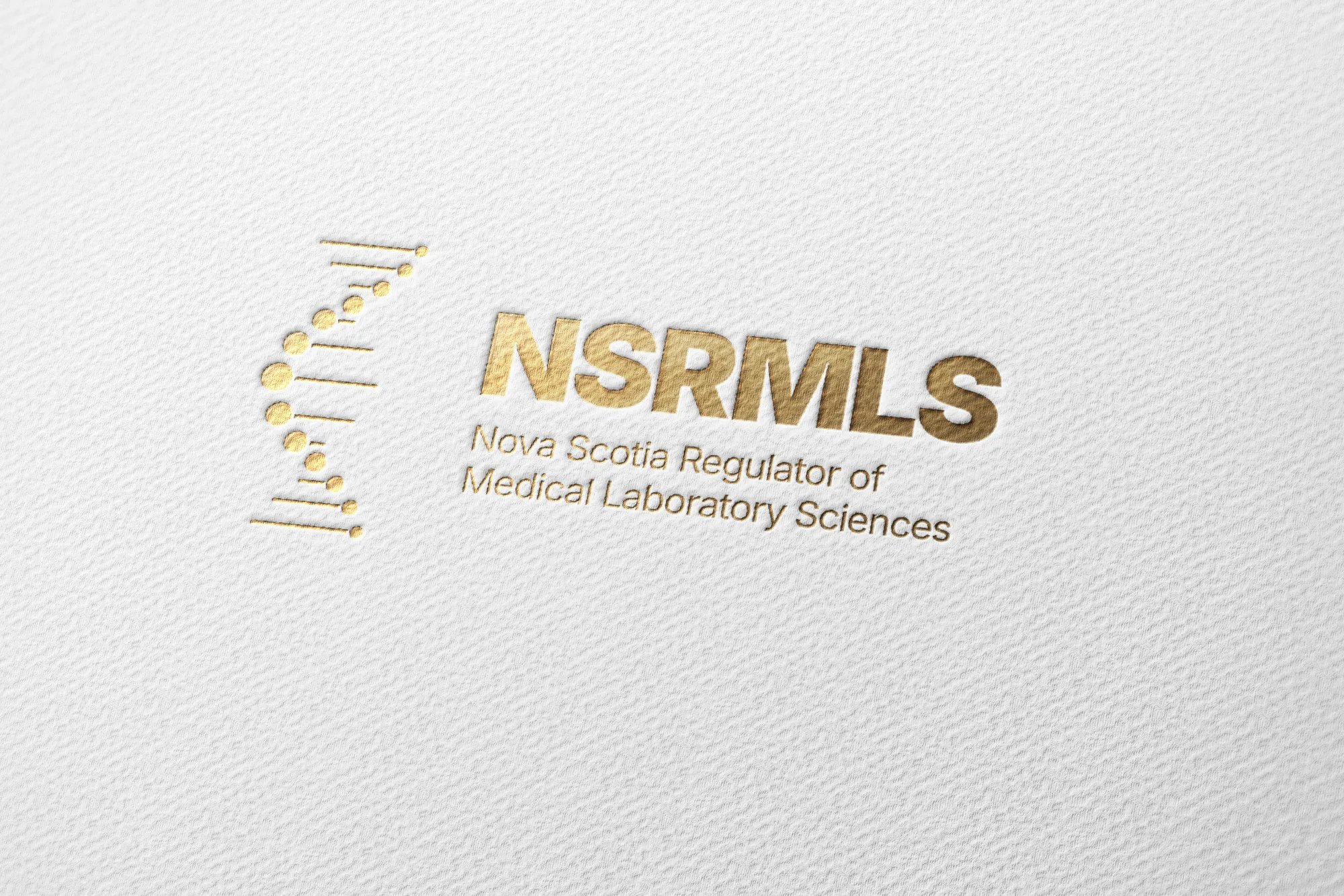 James Gaudet, Halifax graphic designer supporting Nova Scotia non-profits